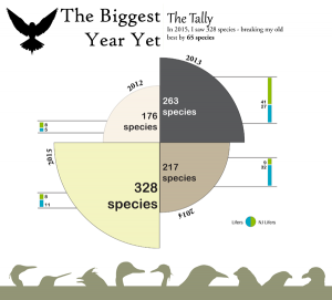 Big Year 2015 Infographic Promo Image